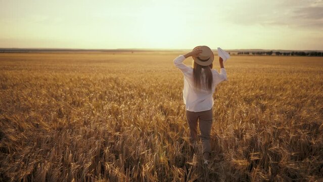 Carefree woman running on wheat field throwing paper plane in sky keeping straw hat on head at sunset, back view. Freedom, happiness resting in countryside village, outdoor activities concept.