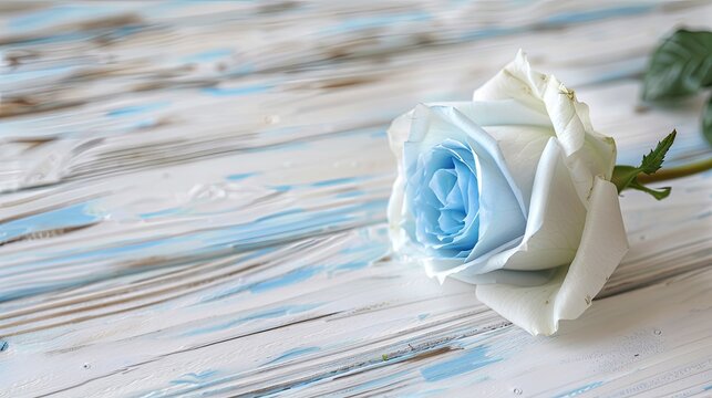 a beautiful white and blue rose background, accentuated by an empty, clean white wooden table, creating a serene and captivating composition perfect for various design purposes.