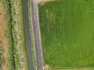 fresh green rice fields, aerial photographs from drones
