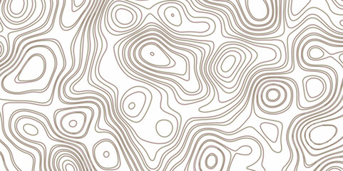 Abstract blank topography background. seamless curves releif. topographic contour map background. - obrazy, fototapety, plakaty