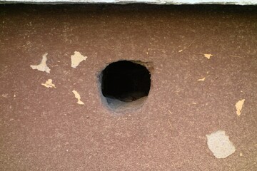 A hole in the wall of a building where animals live - obrazy, fototapety, plakaty