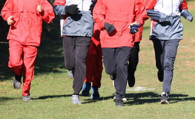 Obraz premium Group of People Running on Field