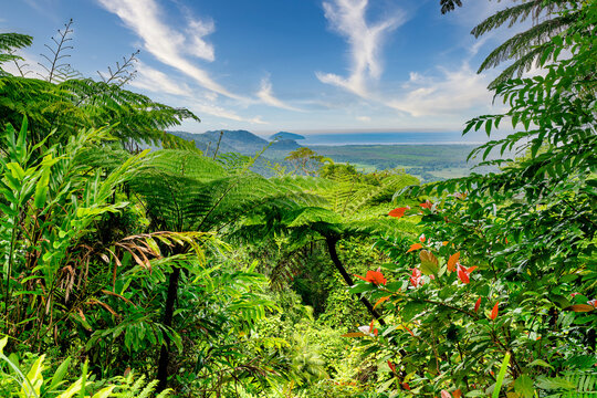 Mount Alexandra lookout at Cape Tribulation in QLD, Australia. View of Snapper Island