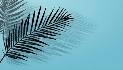 Realistic transparent shadow from a leaf of a palm tree on the blue background. Tropical leaves shadow. Mockup with palm leaves shadow.