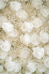 White Roses 2