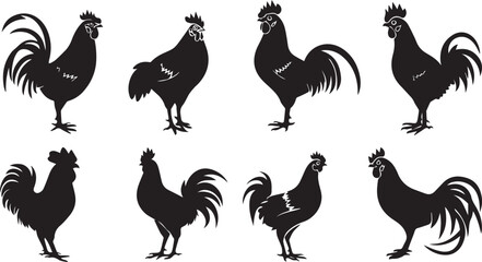 Set of Black silhouette Rooster hen on white background - obrazy, fototapety, plakaty