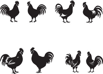 Black silhouette Rooster hen on white background