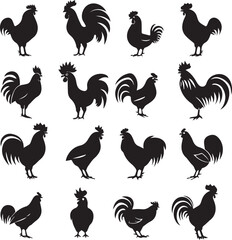 Black silhouette Rooster hen on white background