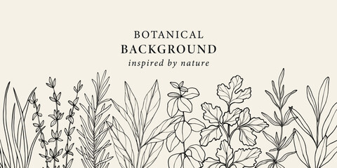 Hand drawn herbs and spices background © Maria