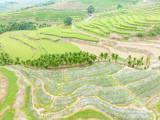 Beautiful scenery of Yahu Rice Terraces in Wuzhishan, Hainan, China