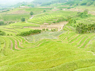 Fototapeta na wymiar Beautiful scenery of Yahu Rice Terraces in Wuzhishan, Hainan, China