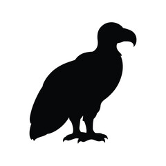 silhouette of a condor on white