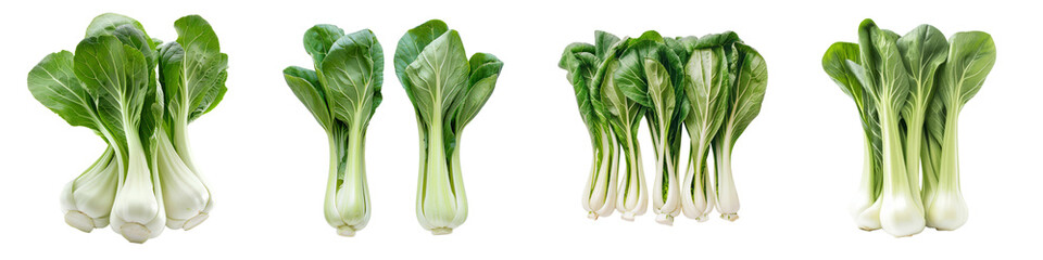 Collection of Bok choy vegetable as food ingridient cutout png transparent background
