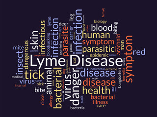 Lyme Disease word cloud template. Health and Medical awareness concept vector background.