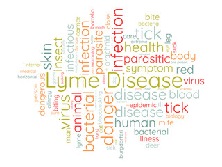 Fototapeta premium Lyme Disease word cloud template. Health and Medical awareness concept vector background.