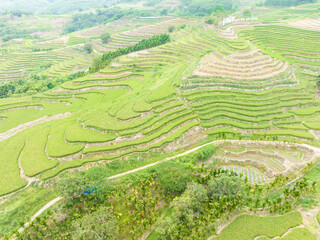 Beautiful scenery of Yahu Rice Terraces in Wuzhishan, Hainan, China