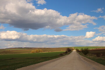 Fototapeta na wymiar A road through a field