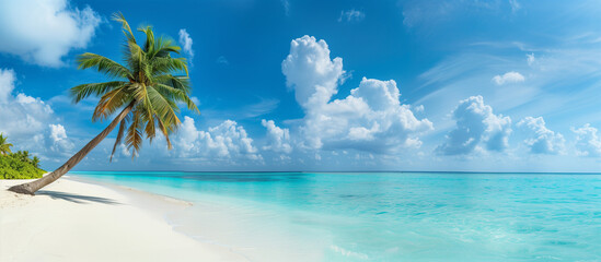 Fototapeta na wymiar caribbean beach with palms and turquoise water