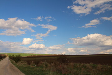 A road with grass and blue sky
