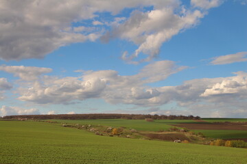 Obraz premium A field with grass and a blue sky