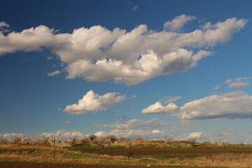 Fototapeta premium A field with grass and blue sky