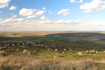 A grassy field with rocks and a blue sky