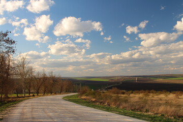 Fototapeta premium A road with trees and grass on either side of it