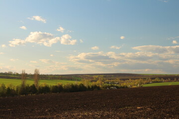 A landscape with trees and a blue sky