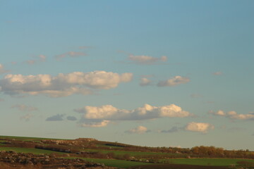 Obraz premium A field with trees and blue sky