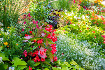 A vibrant garden in Yvoire showcases a kaleidoscope of flowers, creating a lush mosaic of textures and colors, a testament to the town's horticultural pride.