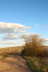 Fototapeta na wymiar A dirt road with a tree and a field of grass and a blue sky with clouds
