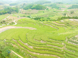 Beautiful scenery of Yahu Rice Terraces in Wuzhishan, Hainan, China