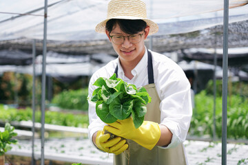 A man farmer is holding organic vegetables in hand - 775182198