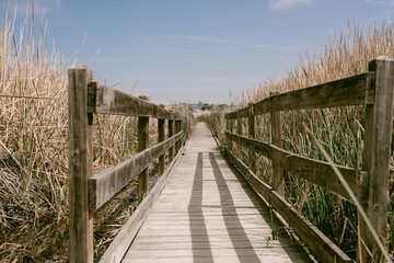 Fototapeta na wymiar wooden bridge in the field