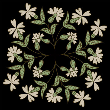 Ornate floral design with blooming branches. Siléne vulgáris. Bouquet of white blossom and green leaves on black background. Folk style.