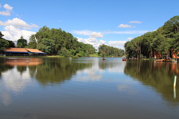 Fototapeta na wymiar Dutch lake in the Van Gogh Park in the city of Holambra, SP, Brazil.
