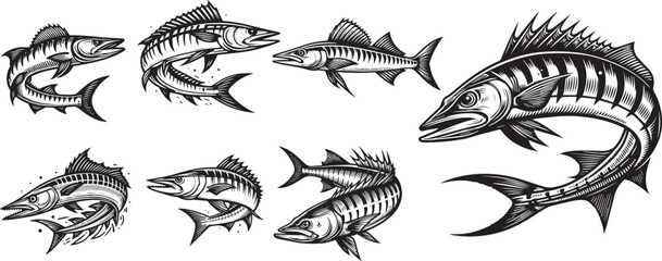 A collection of black and white vector illustrations of barracuda fish - obrazy, fototapety, plakaty