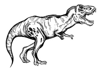 Tyrannosaur engraving PNG illustration