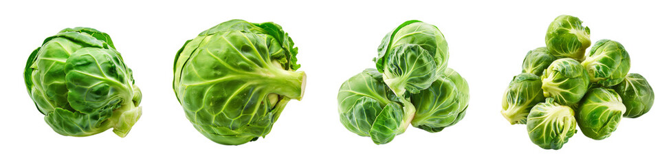 Brussels sprout vegetable food ingridient cutout png transparent background
