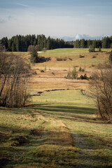 Das Illachmoos, ein idyllisches Moor bei Wildsteig, Deutschland, ist ein beliebtes Reiseziel im Herbst und Sommer.