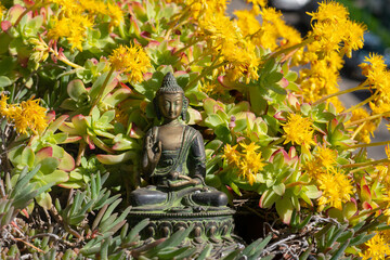Buddha among the outside, a luminous guardian of universal truth, with harmony pervading the entire cosmos and silent witness to the beauty and grandeur of life.