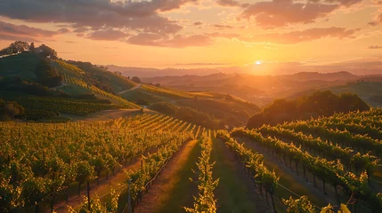 Papier Peint photo autocollant Vignoble A sunset over rolling hills and vineyards - the beauty of wine country