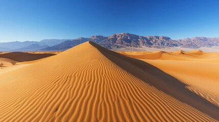 Fototapeta na wymiar Vast desert vista intricate sand dunes, textured patterns, clear sky, long shadows, enhanced colors