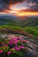Stunning Sunset Over the Mountains With Pink Flowers