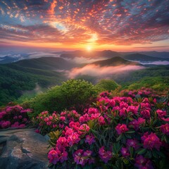 Majestic Sunset Over Mountains With Pink Flowers