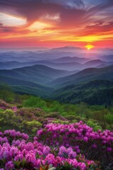 Fototapeta premium Stunning Sunset Over Mountain Range With Pink Flowers