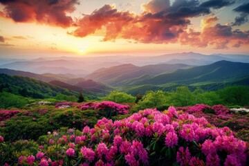 Sun Setting Over Mountains With Pink Flowers