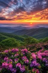 Fototapeta premium Sunset Over Mountains With Pink Flowers