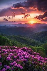 Sun Setting Over Mountains and Flowers