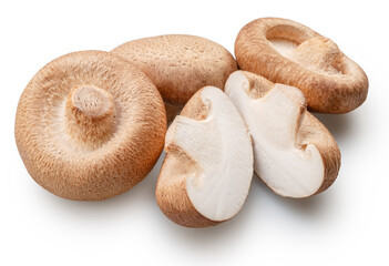 Shiitake - edible asian mushrooms and cuts of shitakes isolated on white background. File contains clipping path.